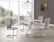 Andrew Modern Dining Room Set in Marble/Gray