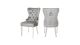 Erica Velvet Dinning Chair with Stainless Steel  Legs in Silver