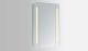 Fenner Rectangular LED Lighted Medicine Cabinet Mirror