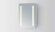 Franklin Rectangular LED Lighted Medicine Cabinet Mirror