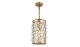 Hermon Transitional 1 Light Hanging Fixture Chandelier in Golden Iron Finish