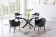 Irving Casual Dining Room Set in Clear/Black